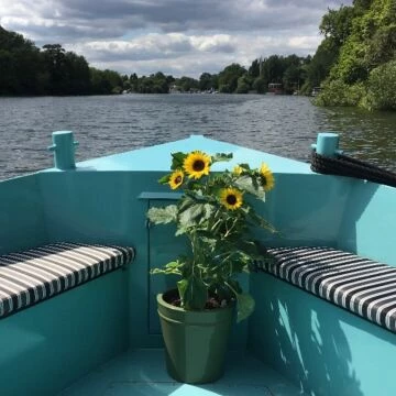 sunflowersolarcanalboat