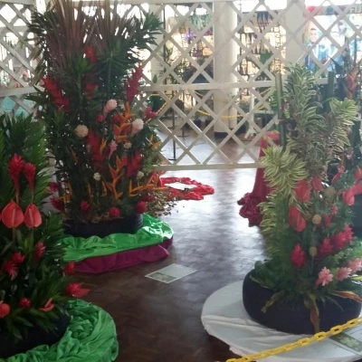 suva flowers 5
