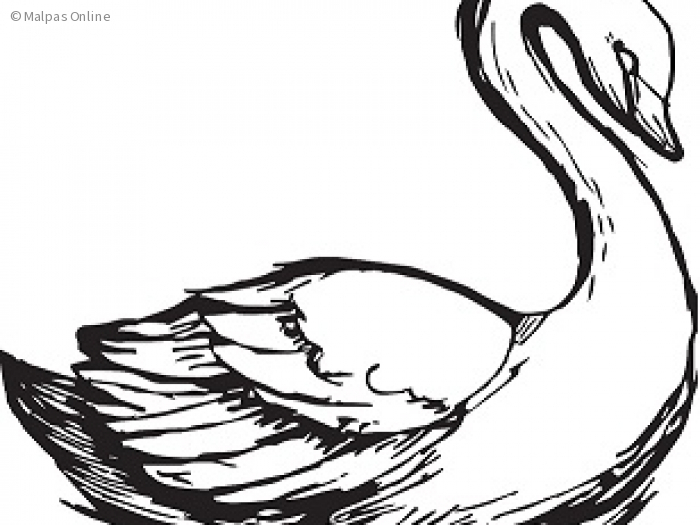 swan logo j