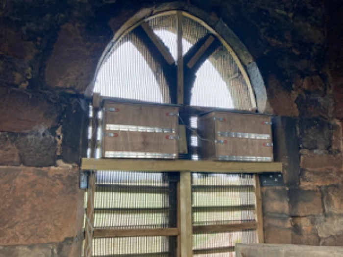 swift boxes at adderley church