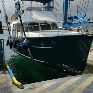 swift43