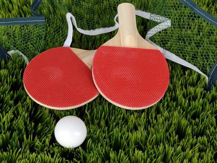 table tennis pingpong bat