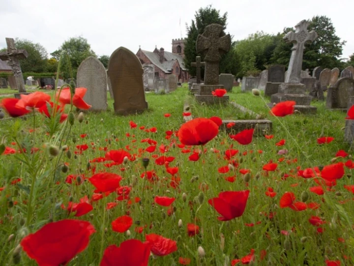 tattenhallchurchyardcommemorativepoppies
