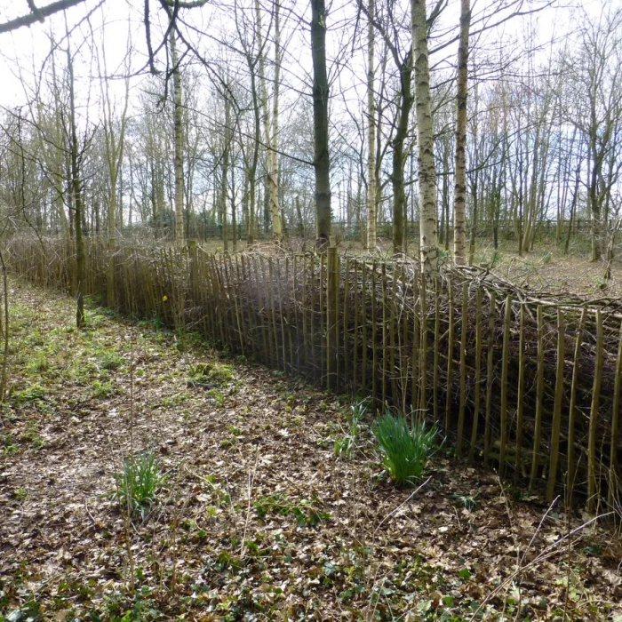 tcw dead hedge nearing completion  2