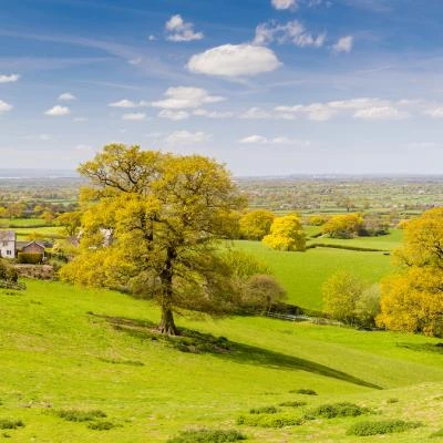 the cheshire plain from burwardsley