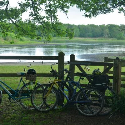 the lake at brown moss