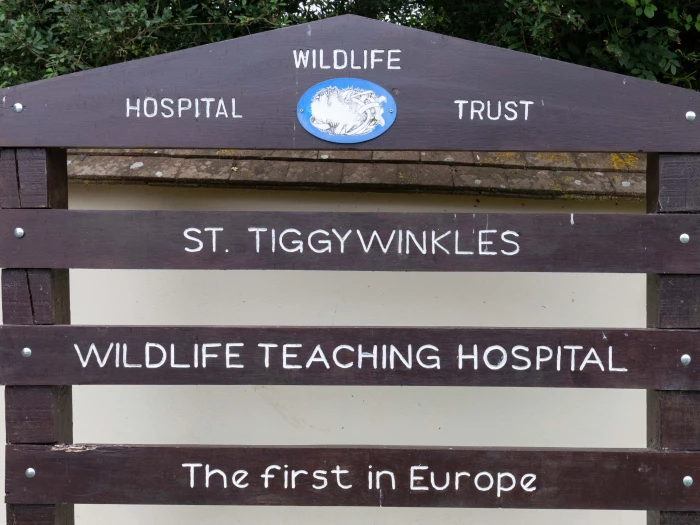 tiggywinkles 03