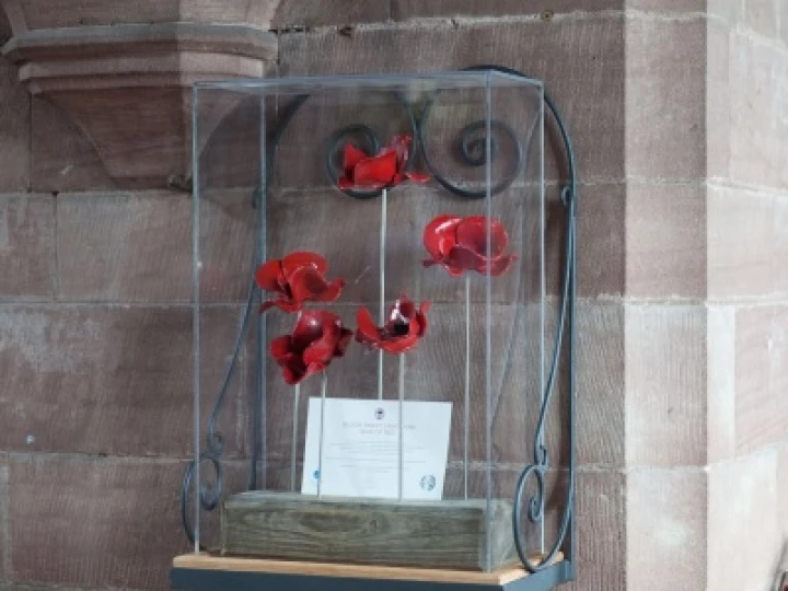 towerpoppies2