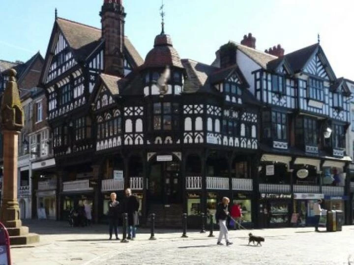 tudorrows