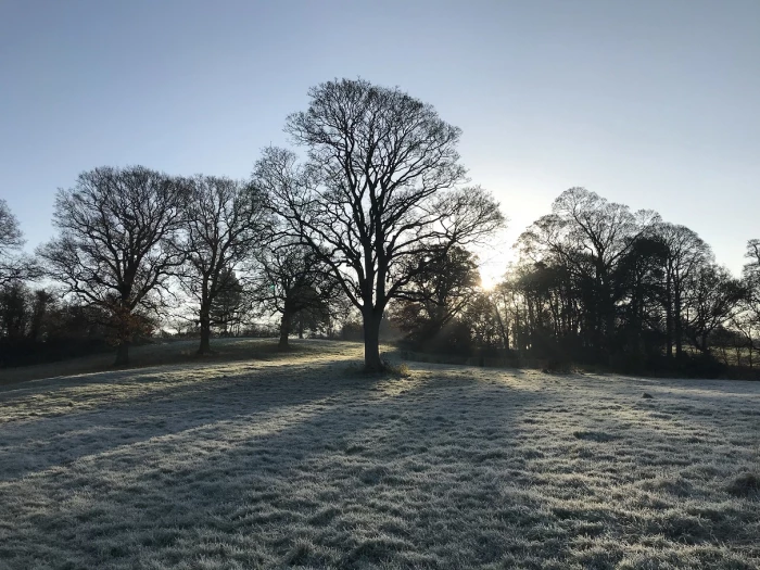 turnpike frost