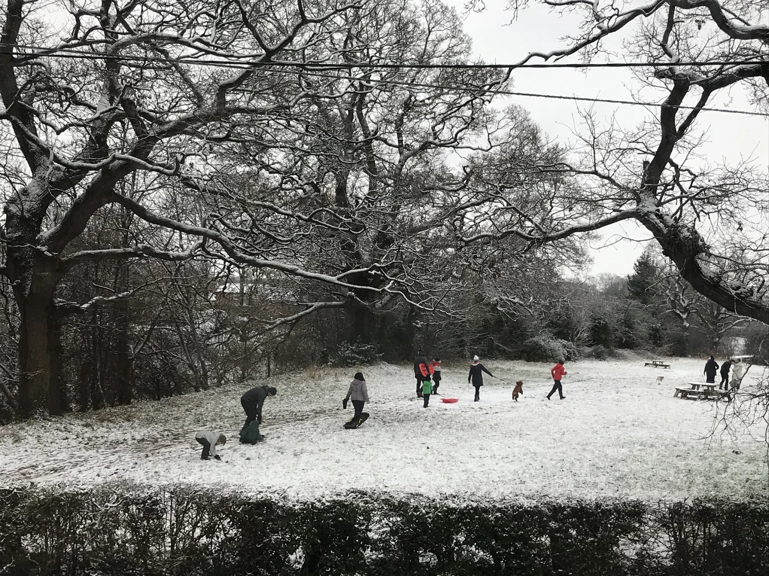 turnpike snow