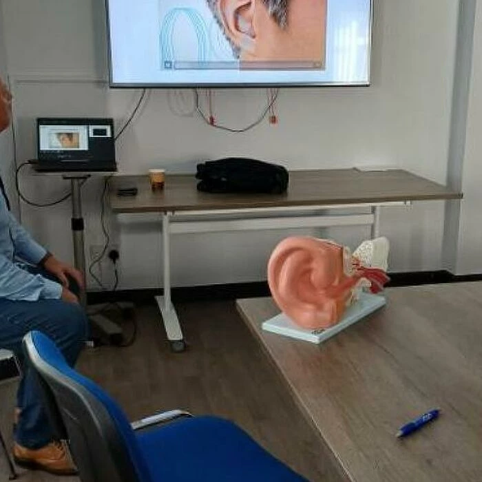 understand how ears work