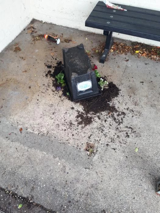 vandalised planter townsend sun 16th june 2019