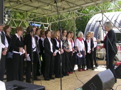 village voices 01