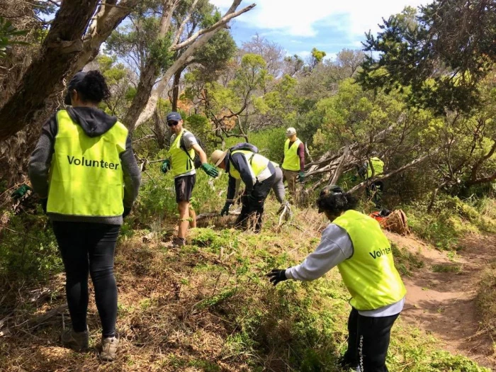 volunteers clearing a pathlarge