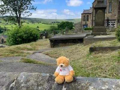 wes the bear at stones