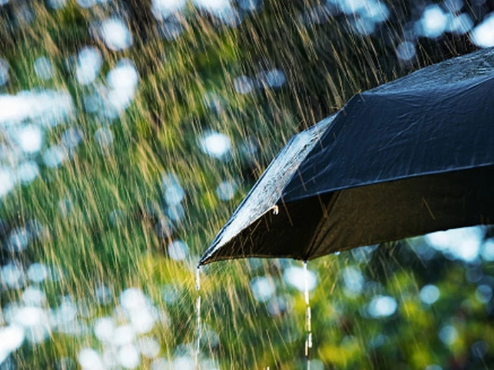 wetweather cropped