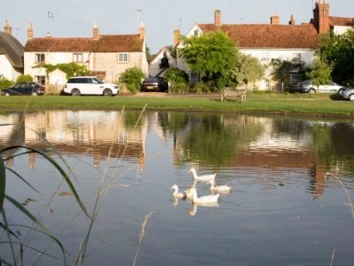 white ducks at church end