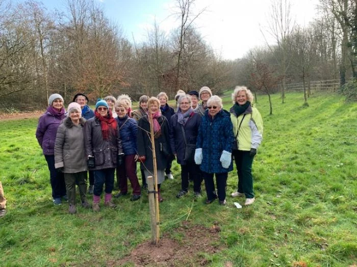 wi tree planting feb 2020 image0364