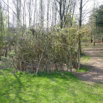 willow house