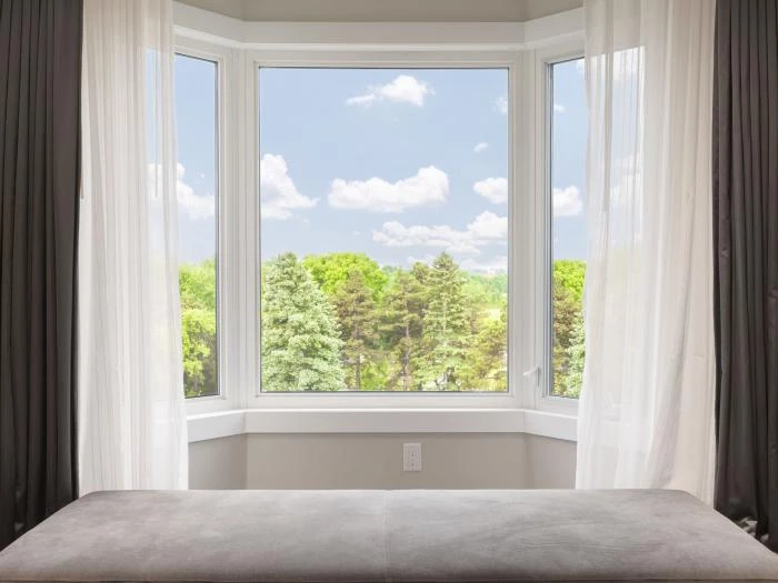 window with a forest view