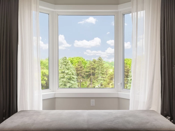 window with forest view
