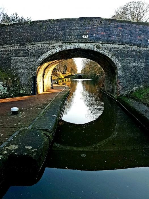 winter canal scenes