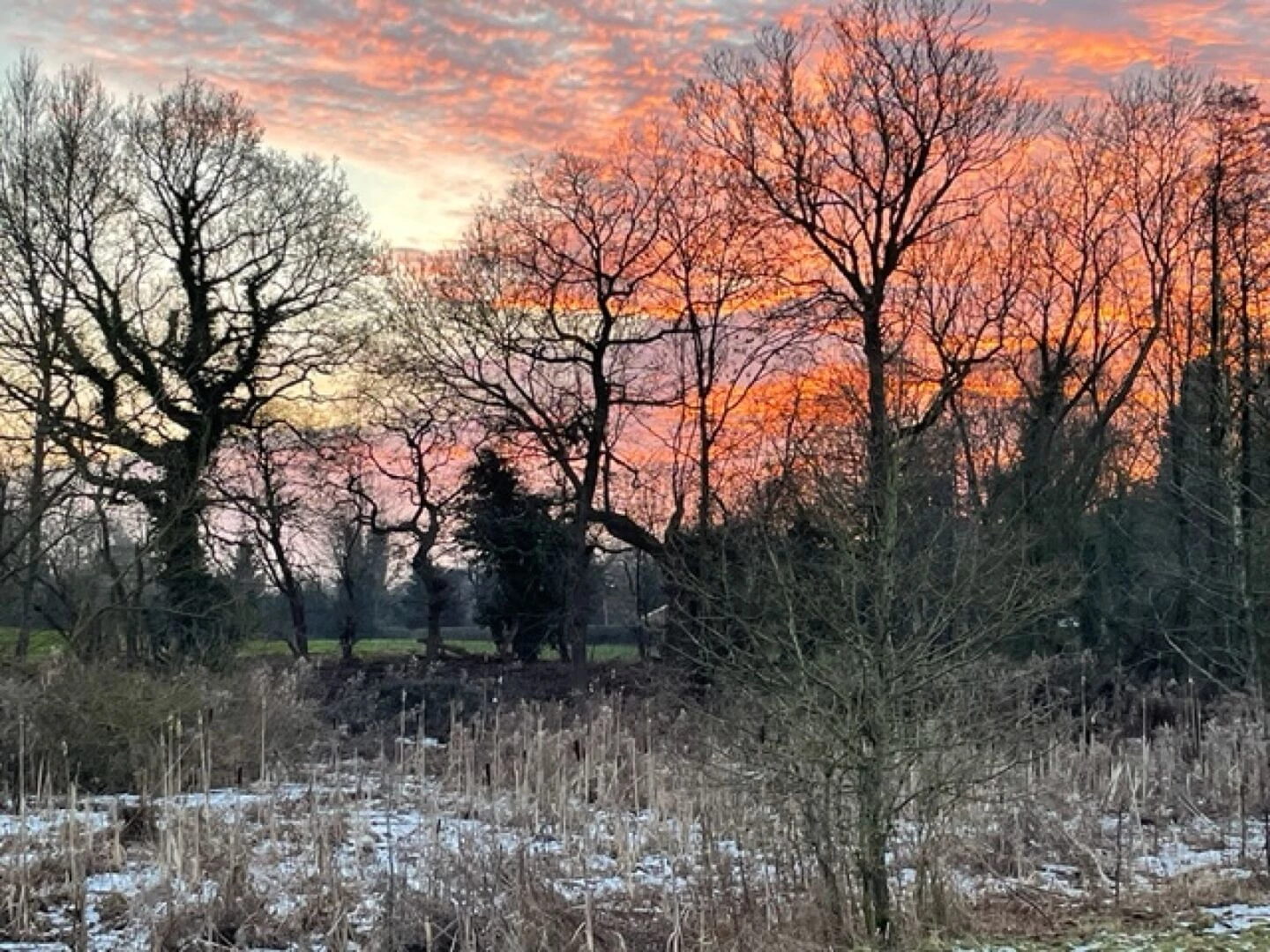 winter scene