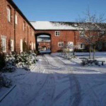winter