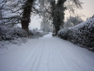 wood orchard lane  december 2010