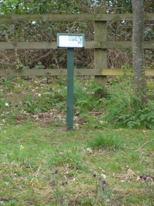 woodland signage 2