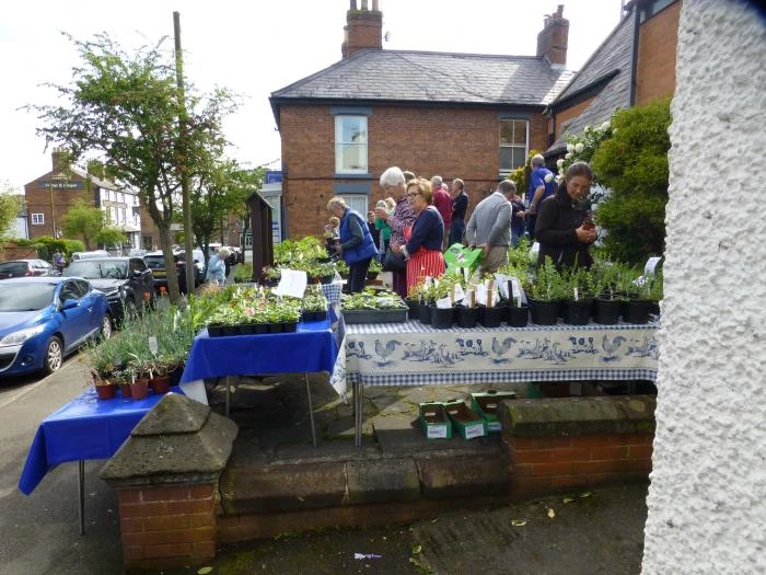 woodland trust plant sale 2018 p1080938