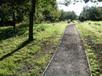 woodland walk