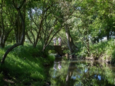 wychert wayimage