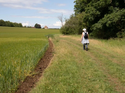 wychert wayimage