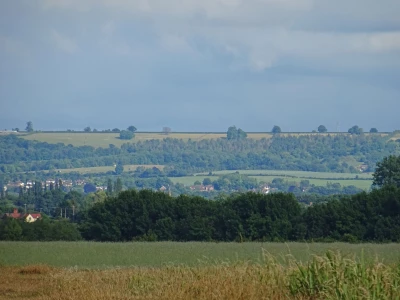 wychert wayimage