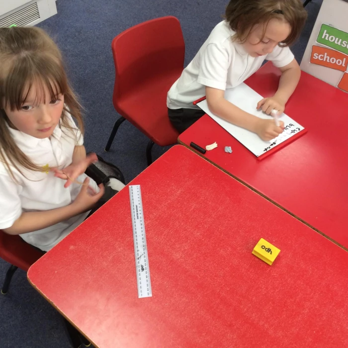 y1 science 2
