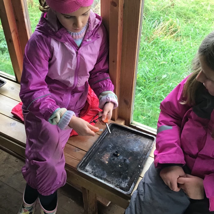 y3 101123 forest school 2