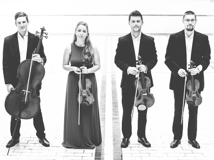 zelkova quartet