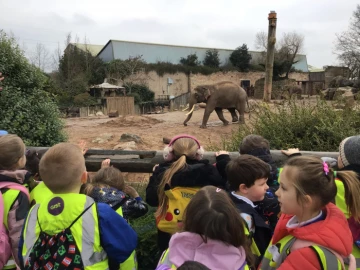 zoo